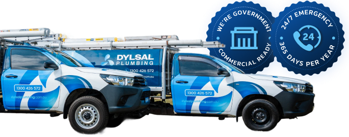 DYLSAL Plumbing fleet, government and commercial ready, 24/7 emergency response